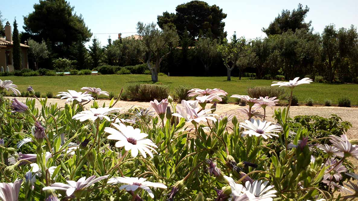 Διαχείριση – Συντήρηση Χώρων