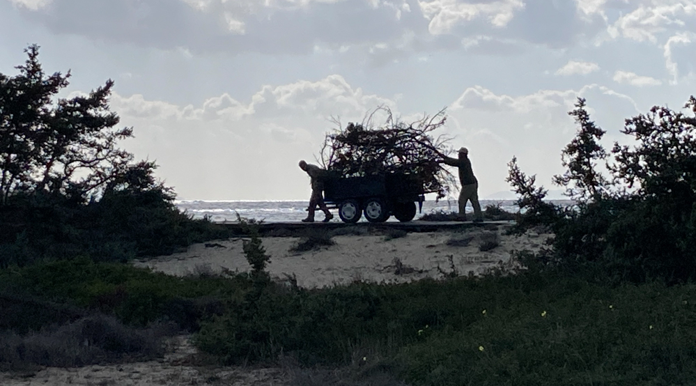 kedroi naxos niki kefala 1