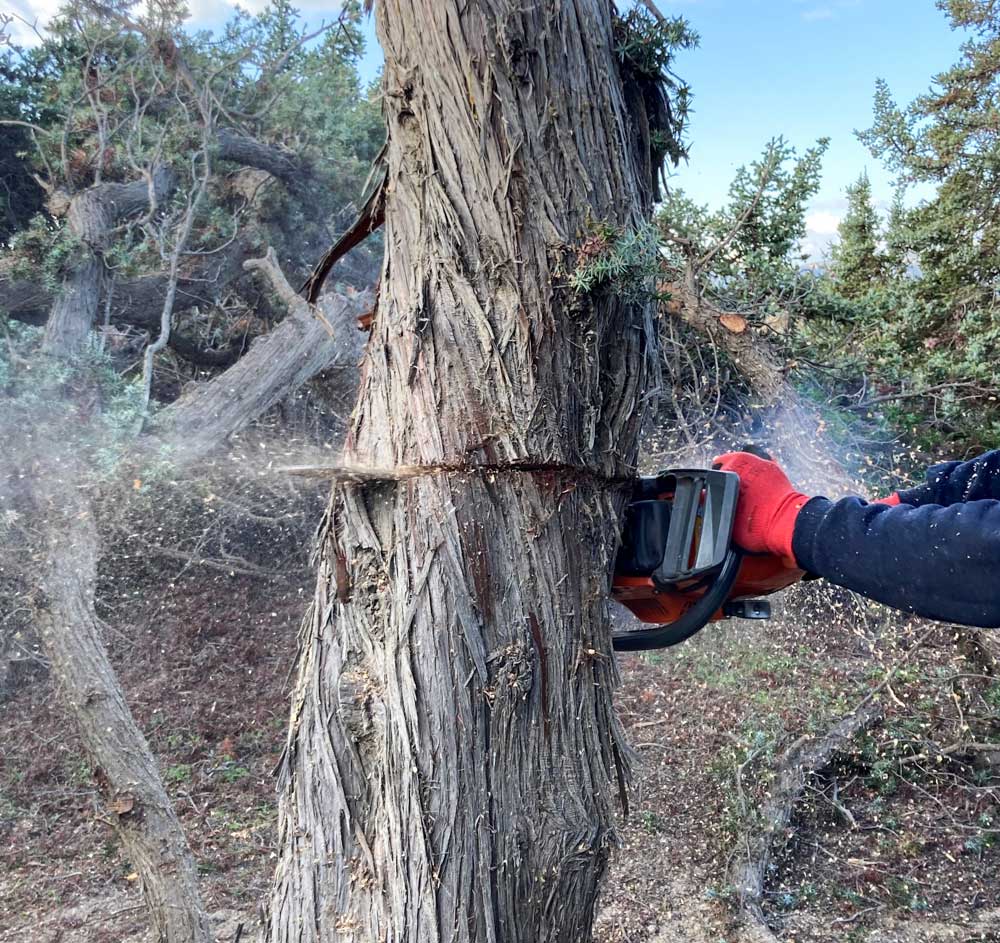 kedroi naxos niki kefala 33