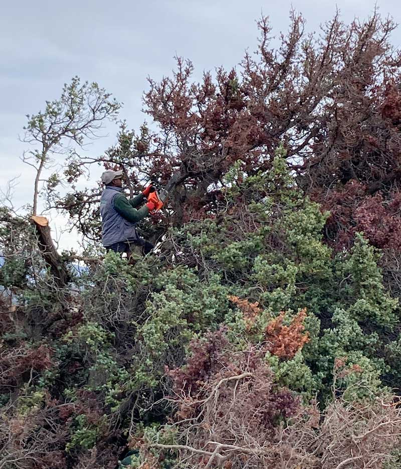 kedroi naxos niki kefala 44