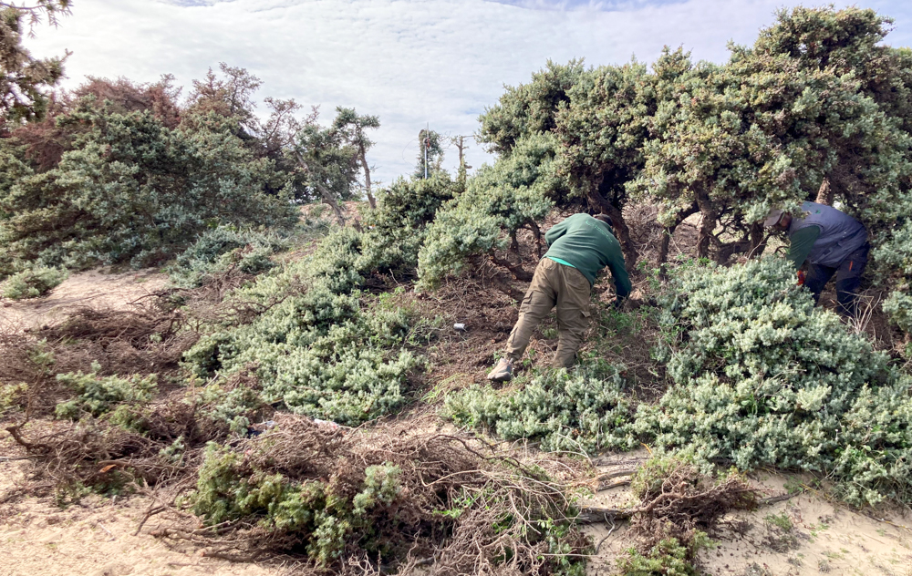 kedroi naxos niki kefala 6